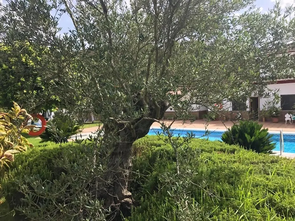 Hotel El Paso Vejer de la Frontera